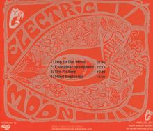 1. Trip To The Moon: 21:45
2. Kaleidoscopeephole: 22:13
3. The Picture: 17:04
4. Mind Explosion: 18:50

Zentral ein psychedelisches Muster.