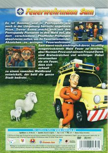 Feuerwehrmann Sam - Pontypandy in Gefahr, DVD