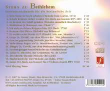Santec Music Orchestra: Stern zu Bethlehem - Instrumentalmusik für die besinnliche Zeit, CD