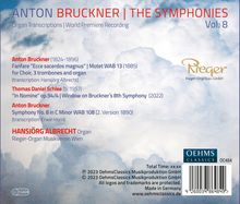 Anton Bruckner (1824-1896): Sämtliche Symphonien in Orgeltranskriptionen Vol.8, 2 CDs