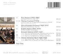 Sächsische Bläserphilharmonie - Winds and Pipes, CD
