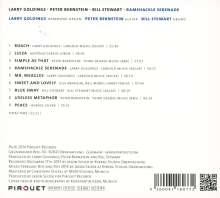 Larry Goldings, Peter Bernstein &amp; Bill Stewart: Ramshackle Serenade, CD