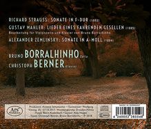 Bruno Borralhinho &amp; Christoph Berner - Richard Strauss / Gustav Mahler / Alexander Zemlinsky, CD