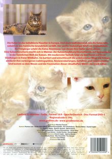Wilde Miezen - Katzen allein unterwegs, DVD
