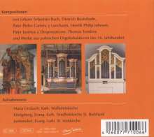 Volker Bräutigam - Historische Fränkische Orgeln, CD