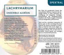 Rückansicht vergrößern