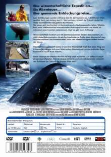 Mission Wale, DVD