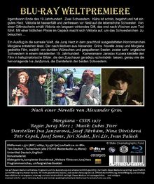 Rückansicht vergrößern