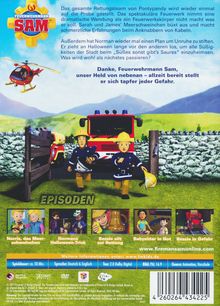 Feuerwehrmann Sam - Der tapfere Retter, DVD