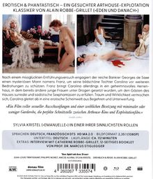 Rückansicht vergrößern