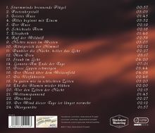 Das Abendland Projekt: Sturmwinds brennende Flügel, CD