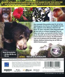 Borneo - Faszination Asien (Ultra HD Blu-ray &amp; Blu-ray), 1 Ultra HD Blu-ray und 1 Blu-ray Disc