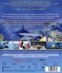 Wonders of the Sea (3D &amp; 2D Blu-ray), 2 Blu-ray Discs