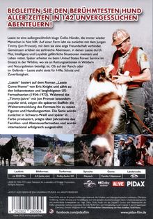 **Begleiten Sie den berühmtesten Hund aller Zeiten in 142 unvergesslichen Abenteuern!**  
Ein Collie-Hund mit einem Mann im Wald, mehrere Szenen mit Hunden und Menschen.