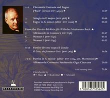 Christopher Hogwood - The secret Bach, CD