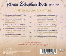 Johann Sebastian Bach (1685-1750): Sinfonias aus Kantaten, CD