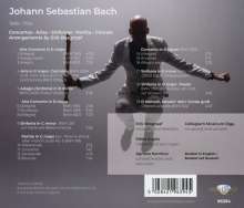 Johann Sebastian Bach (1685-1750): Bearbeitungen für Blockflöte &amp; Orchester (Arrangements von Erik Bosgraaf), CD