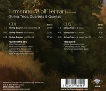 Ermanno Wolf-Ferrari (1876-1948): Streichtrios,Streichquartette,Streichquintett, 2 CDs