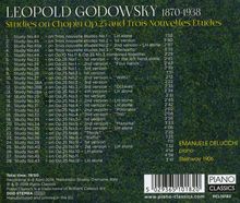 Leopold Godowsky (1870-1938): Studien über die Etüden von Chopin Nr.23-36,38-46,48, CD