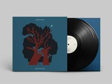 Mammal Hands: Gift From The Trees (45 RPM), 2 LPs