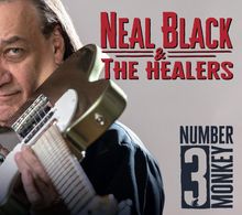 "Neal Black & The Healers", "Number 3 Monkey". Ein Mann mit Gitarre sieht in die Kamera.