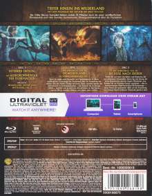 Der Hobbit: Smaugs Einöde (Extended Edition) (Blu-ray), 3 Blu-ray Discs