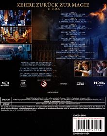 Wizarding World (Harry Potter &amp; Phantastische Tierwesen) (11-Film Collection) (Blu-ray), 11 Blu-ray Discs