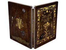 Golden verzierte Hülle mit "Practical Magic". Pflanzen- und magische Symbole schmücken das Design.