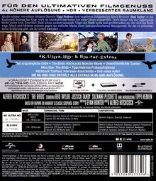 Die Vögel (Ultra HD Blu-ray &amp; Blu-ray), 1 Ultra HD Blu-ray und 1 Blu-ray Disc
