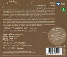 Rückansicht vergrößern