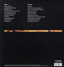 Carcass: Reek Of Putrefaction (FDR Remaster), LP