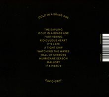 David Gray: Gold In A Brass Age, CD