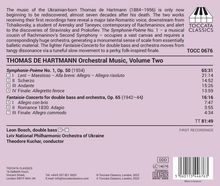 Thomas de Hartmann (1885-1956): Orchesterwerke Vol. 2, CD