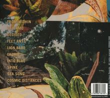 Johanna Amelie: Distance, CD