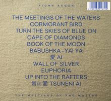 Fionn Regan: The Meetings Of The Waters, CD