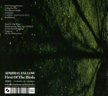 Titel: First Of The Birds. Lieder: First Names, Living For You, The Shortest Night, Avalanche, u.a. Hintergrund grün und strukturiert.