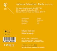 Johann Sebastian Bach (1685-1750): Kantaten BWV 4,79,80, CD