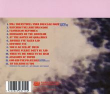 The Flaming Lips: American Head, CD