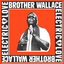 "Brother Wallace Electric Love". Eine Person singt in ein Mikrofon, trägt Sonnenbrille und Schal auf orangefarbenem Hintergrund.