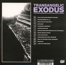 Ezra Furman: Transangelic Exodus, CD