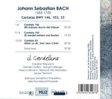 Johann Sebastian Bach (1685-1750): Kantaten BWV 33, 103, 146, CD