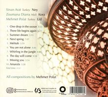 Mehmet Polat: Next Spring, CD