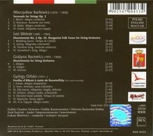 Rückansicht vergrößern