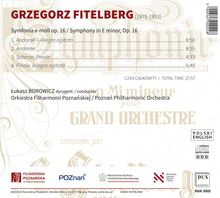 Grzegorz Fitelberg (1879-1953): Symphonie e-moll op.16, CD