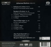 Johannes Brahms (1833-1897): Kammermusik, Super Audio CD
