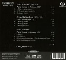 Franz Schubert (1797-1828): Klaviersonaten D.537 &amp; D.959, Super Audio CD