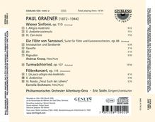 Rückansicht vergrößern