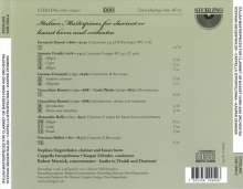 Italienische Werke für Klarinette/Bassetthorn &amp; Orchester, CD