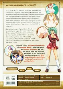 Ikki Tousen - Great Guardians (Gesamtausgabe), 4 DVDs