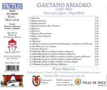 Gaetano Amadeo (1824-1893): Orgelwerke, CD